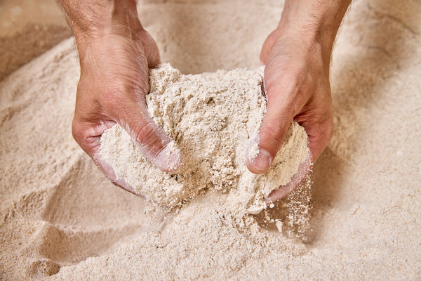 Bulk Whole Wheat Bread Flour Organic 25#
