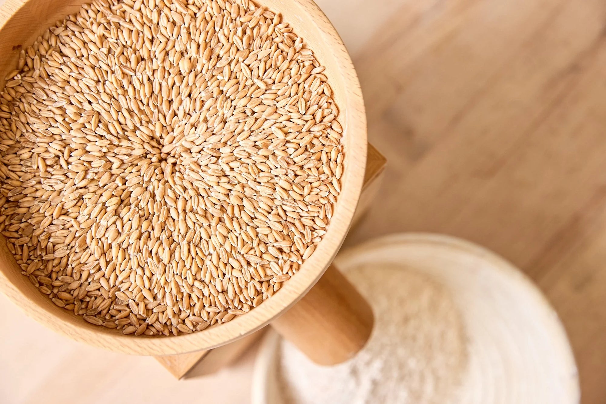 Wheat grains in a wooden bowl