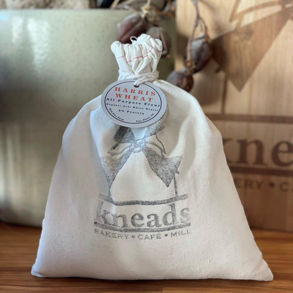 Whole Wheat All Purpose Flour Organic