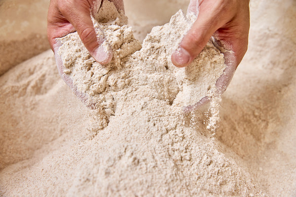 Bulk Whole Grain Spelt Flour Organic 25#
