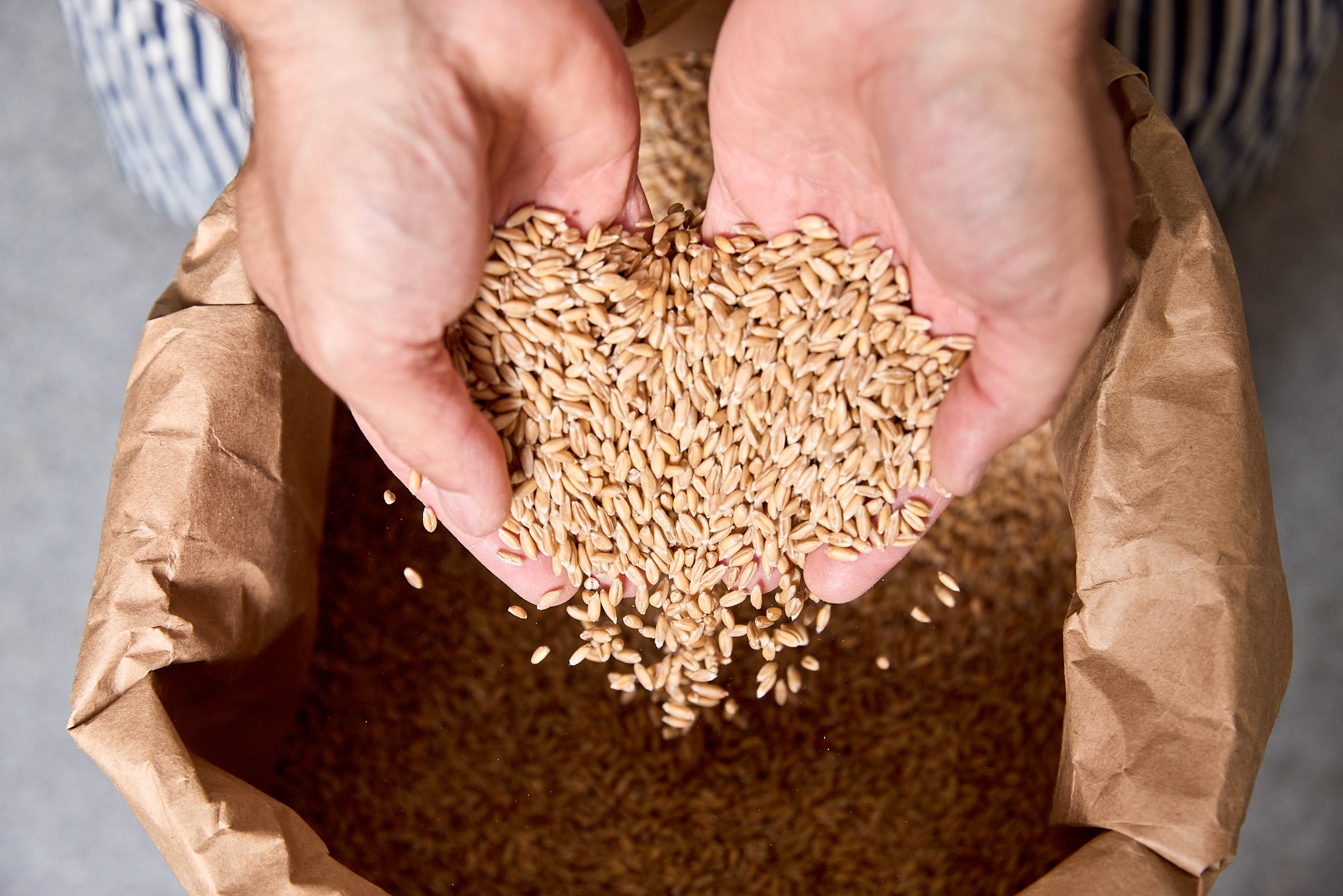 Spelt Berry 50#