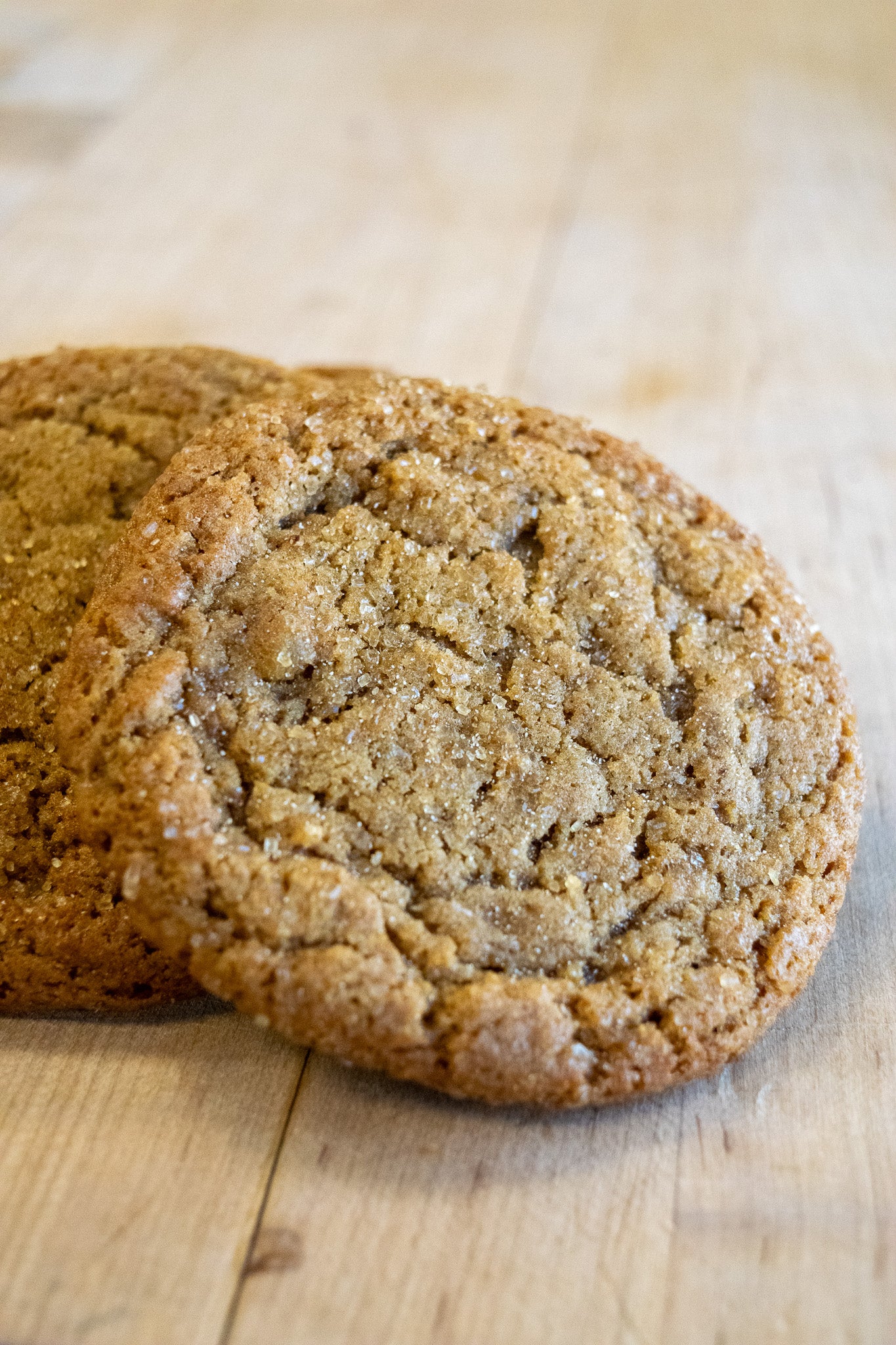 Ginger Cookie