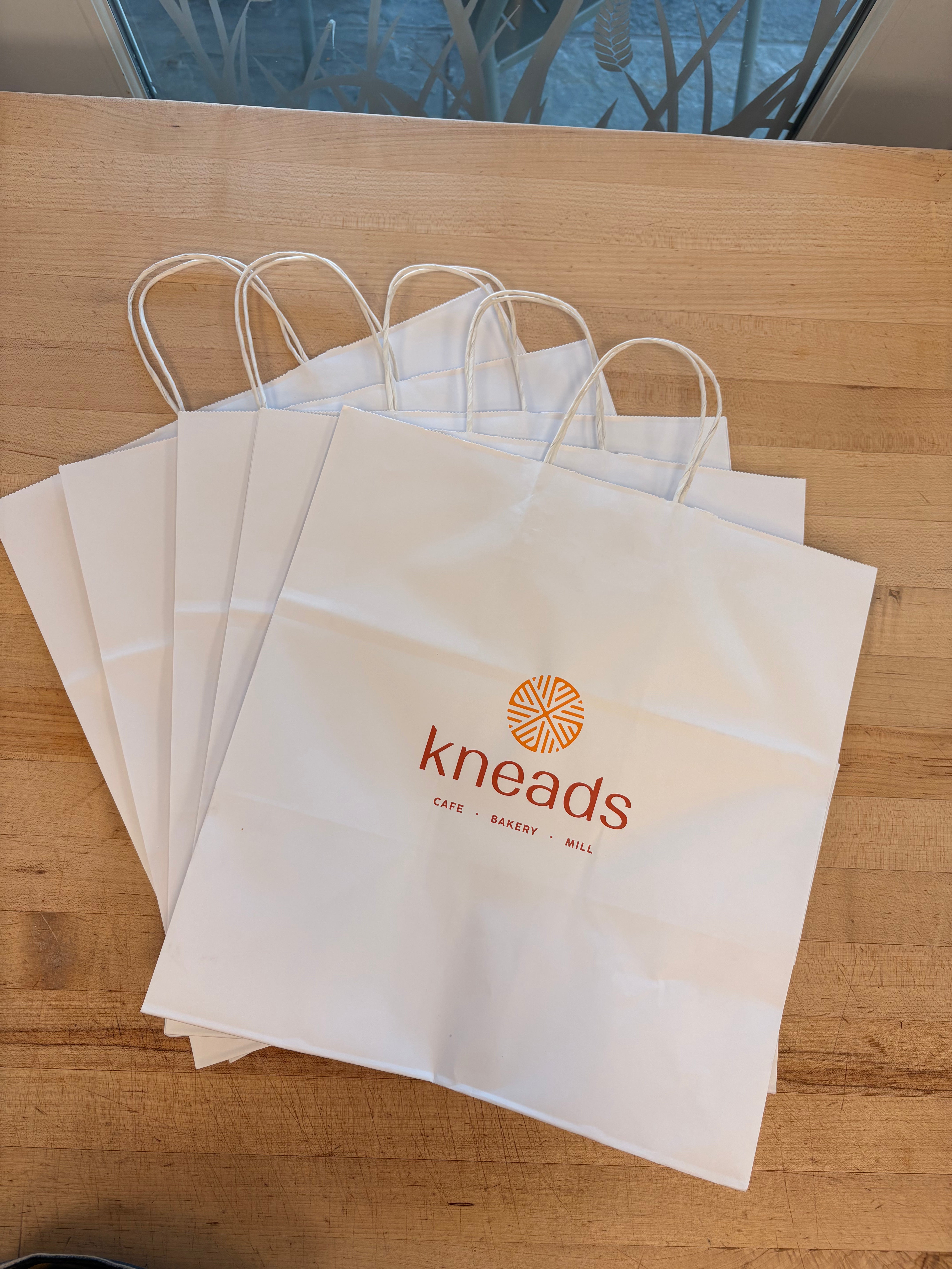 Handle Bags Large