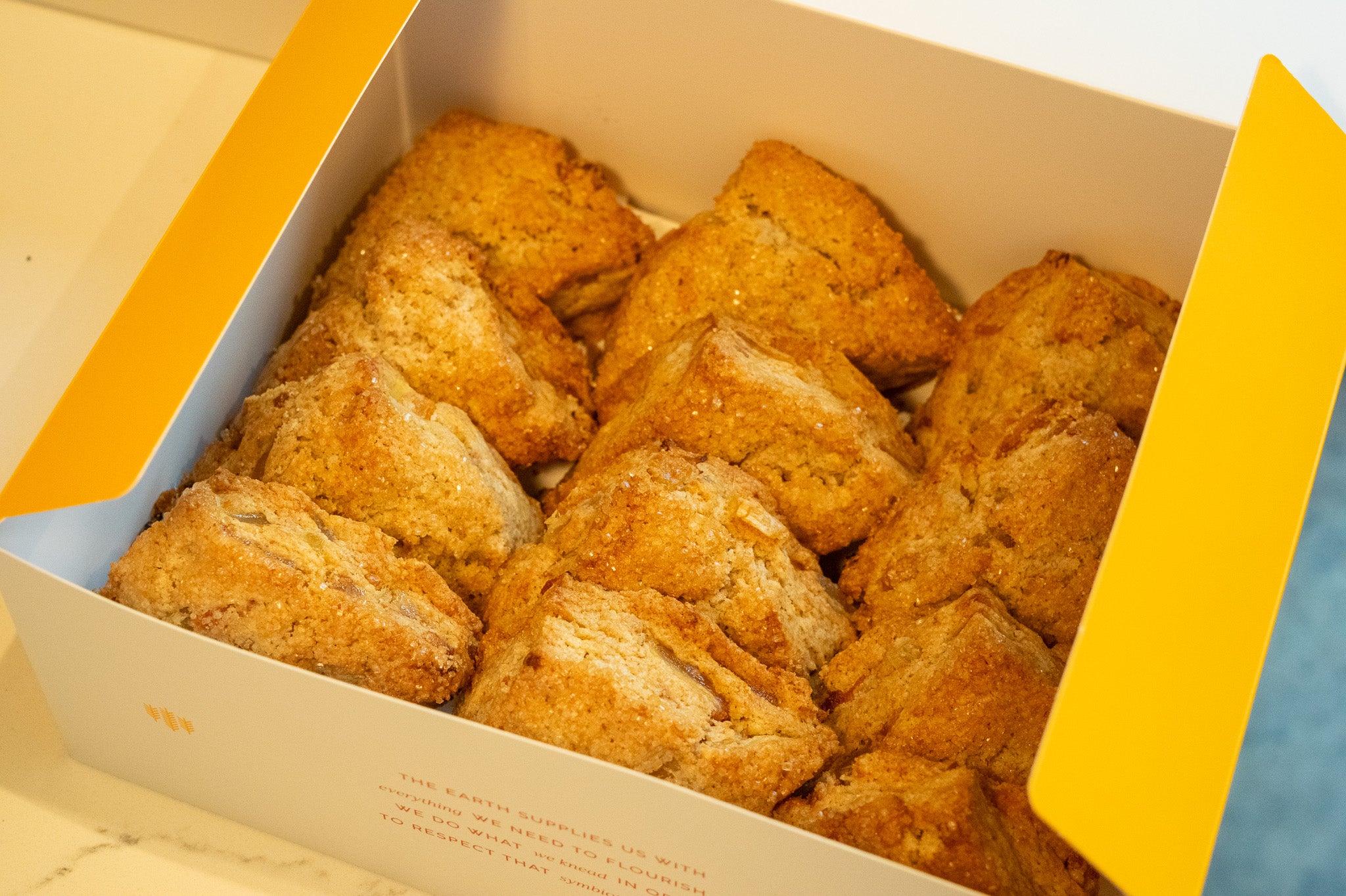 Mini Seasonal Fruit Scone Box