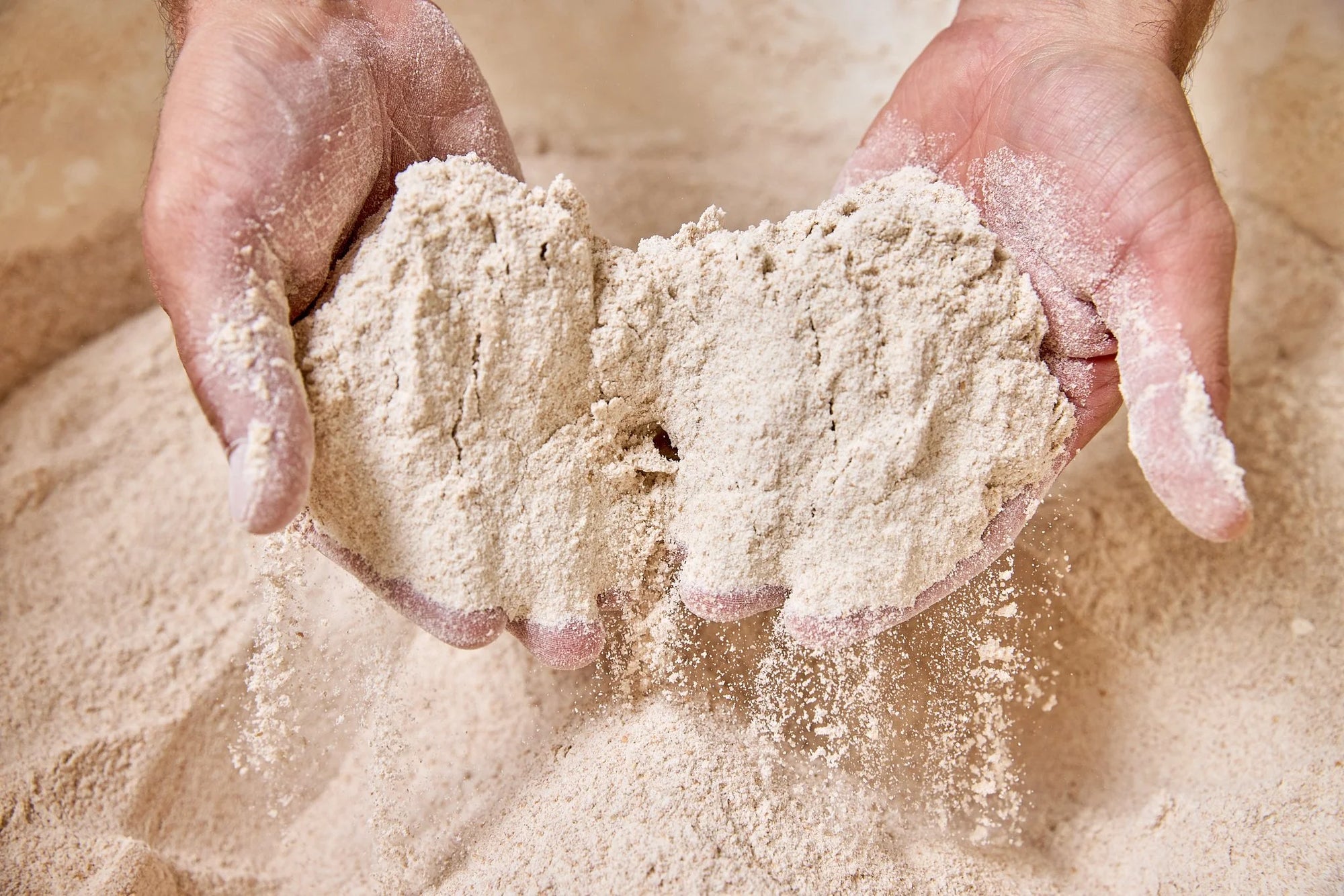 Hands holding fresh flour