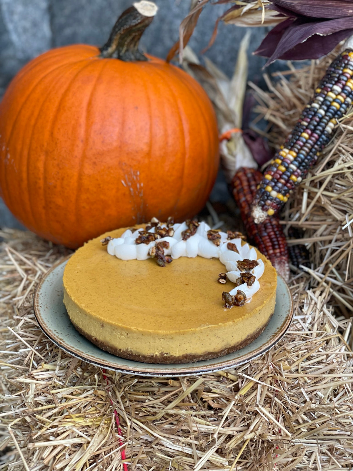 Pumpkin Cheesecake 8''