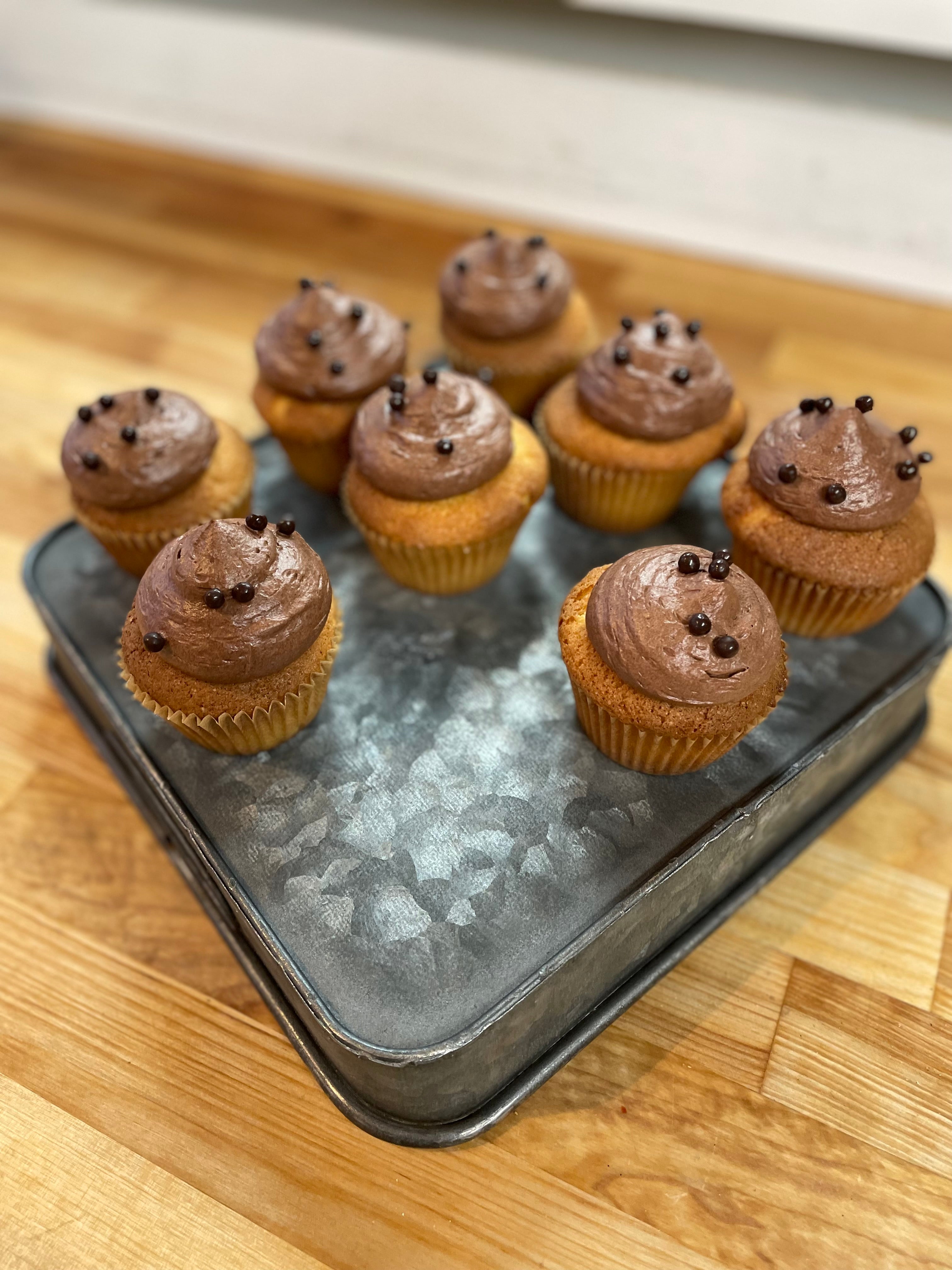 Vanilla Chocolate Cupcakes (6 pk)